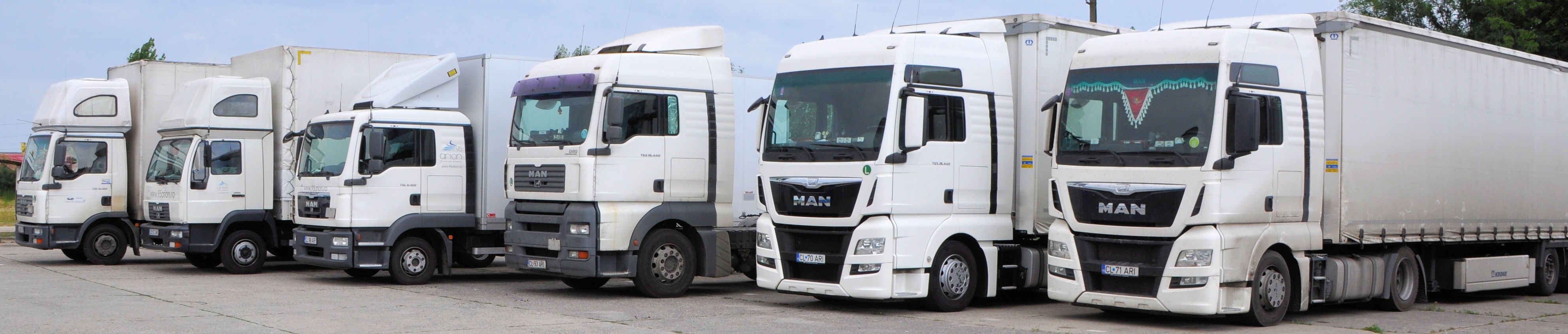 Logistica